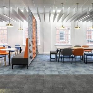 Acoustic & Privacy Solutions